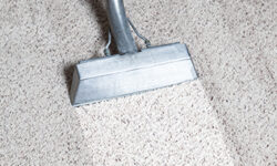 3 Reasons Spots Come Back After Carpet Cleaning - Zerorez Phoenix